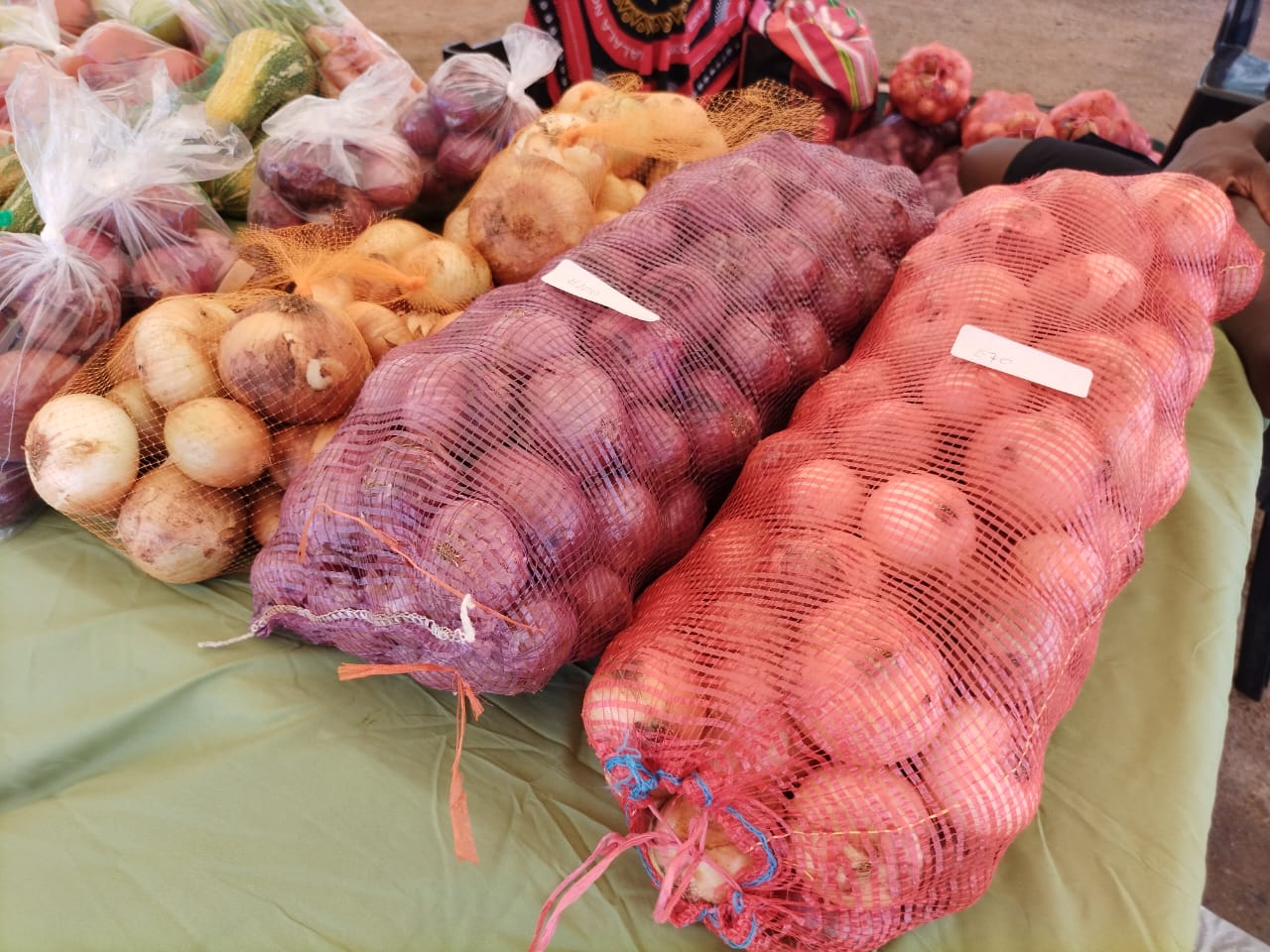 onion
